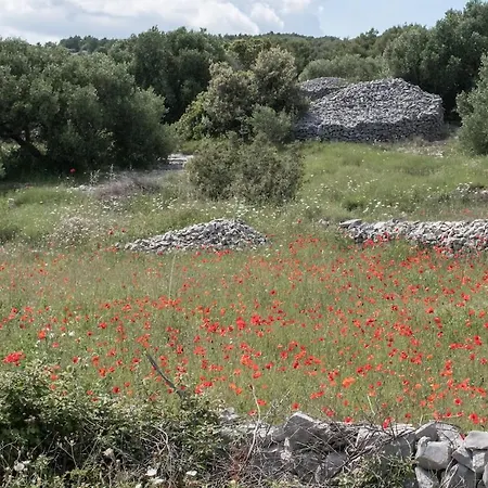Authentic Dalmatian Stone Villa Selca (Brac)