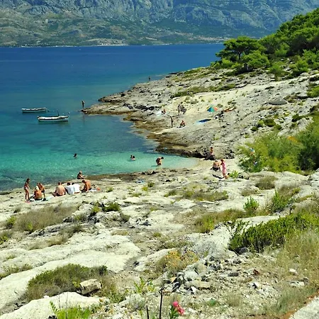 Authentic Dalmatian Stone Villa *