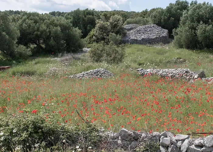 Authentic Dalmatian Stone Villa Selca (Brac)